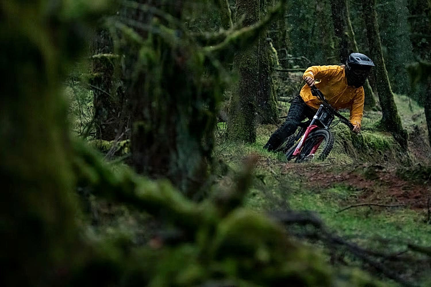 Real Mountain Bike 2021