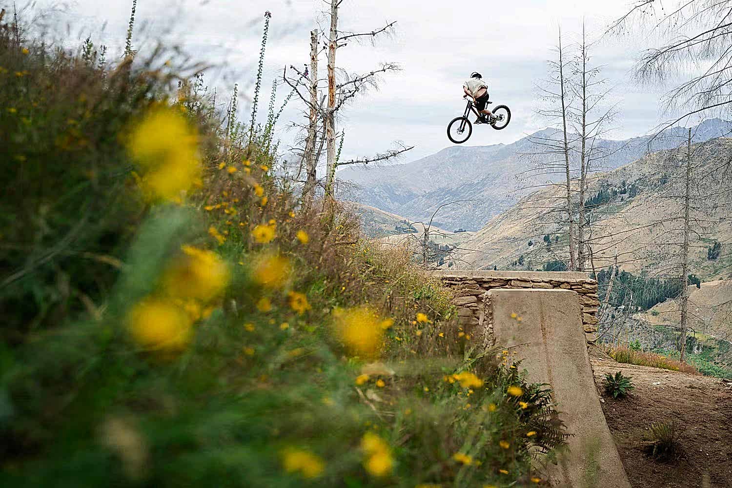 Real MTB 2024 in Review